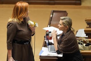 Malá z ANO zkritizovala Macinku i Pavla - Novinky